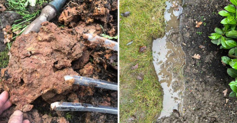 How Georgia Clay Soil Affects Summer Watering And What To Do About It