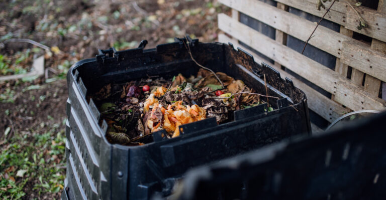 compost (featured image)