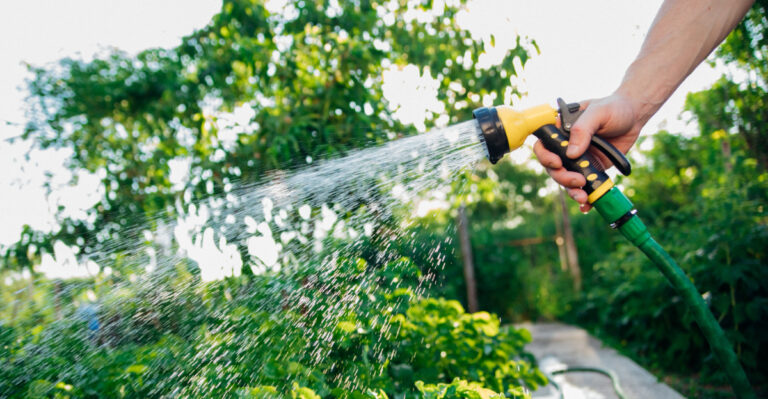 How Illinois Gardeners Get Three Days Out Of One Watering Session