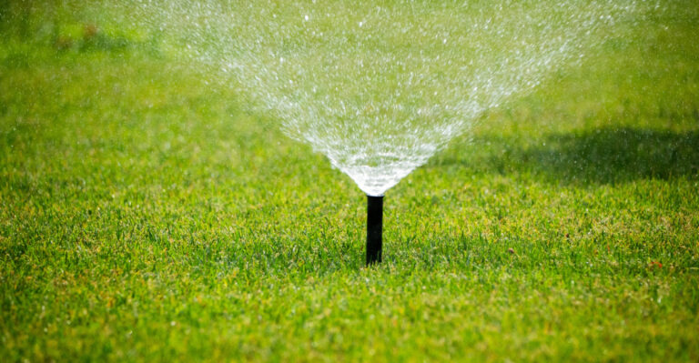 lawn (featured image)