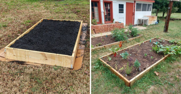 How No-Dig Gardening Helps Michigan Yards Build Healthier Soil Over Time