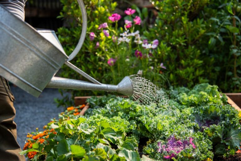 watering garden