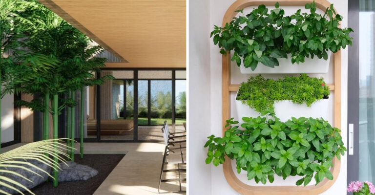 How To Create A Stunning Living Wall On Your Florida Lanai With Potted Plants