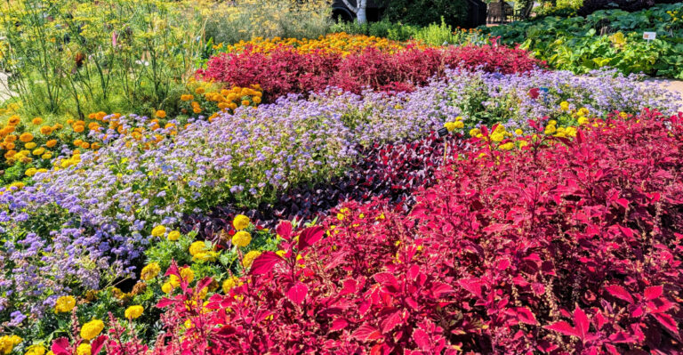 michigan garden