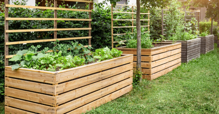 How To Get Louisiana Vegetable Beds Ready Before The Worst Of Storm Season Sets In