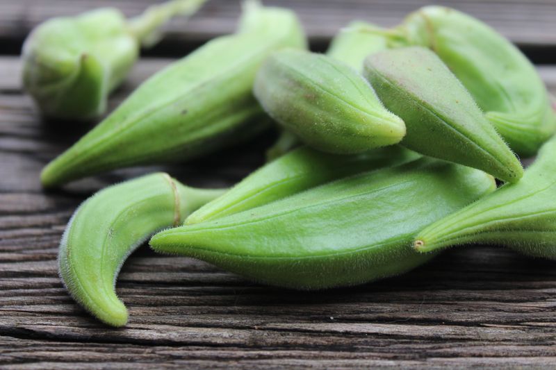 How To Harvest And Use It Before The Season Ends