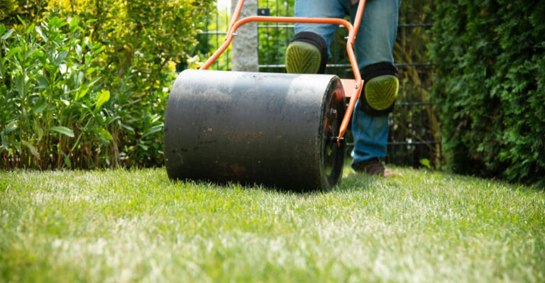 How To Level Your Lawn In Tennessee Using Just Simple Tools