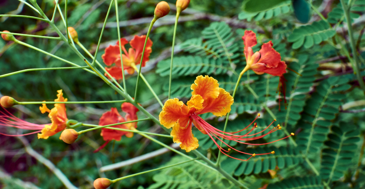 plant (featured image)