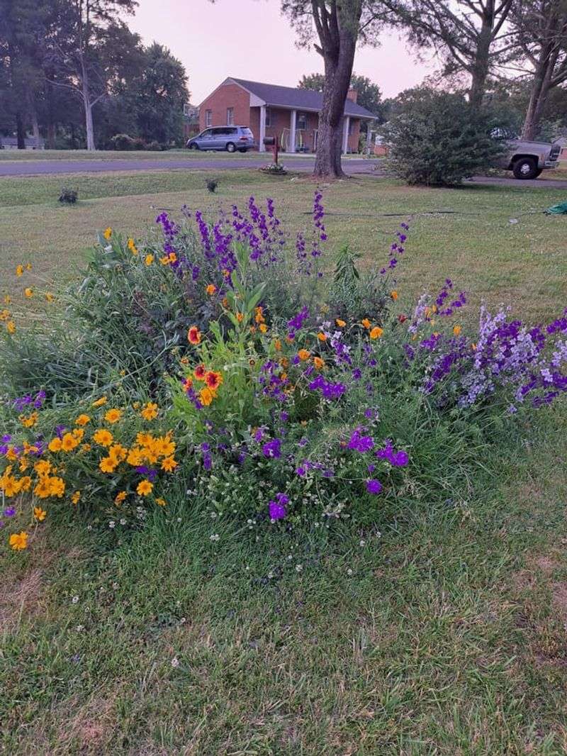 How To Start A Wild Corner Without Losing Curb Appeal