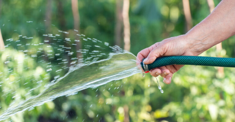 How To Water Your Texas Garden Efficiently When Restrictions Limit You To Once A Week