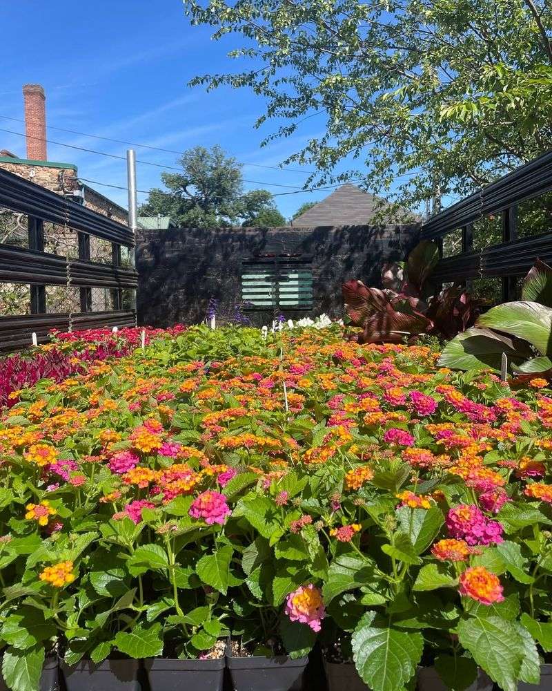 Howard Peters Rawlings Conservatory