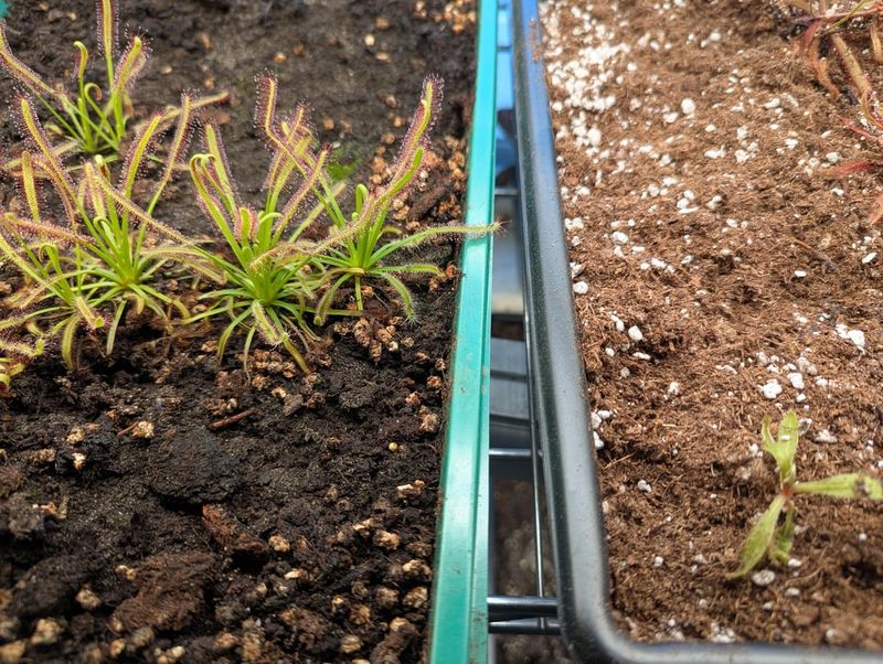 Hydrophobic Soil Lets Water Run Off Instead Of Soak In
