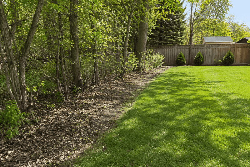 Ignoring Brushy Borders Around The Yard