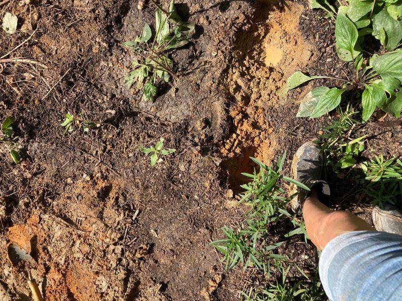 Ignoring Clay Soil Moisture Ignoring Clay Soil Moisture