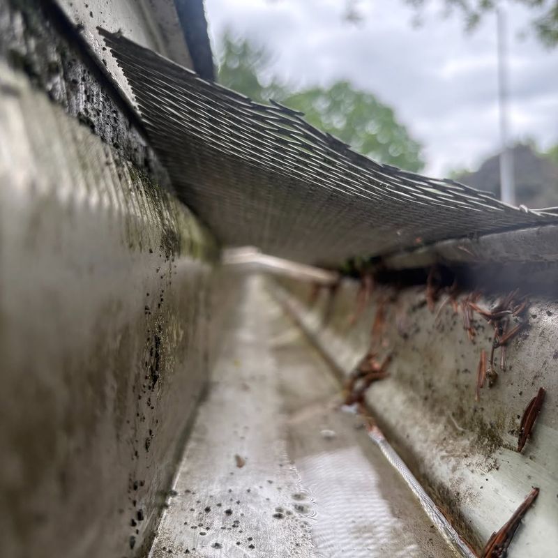 Ignoring Clogged Gutters And Downspouts Ignoring Clogged Gutters And Downspouts