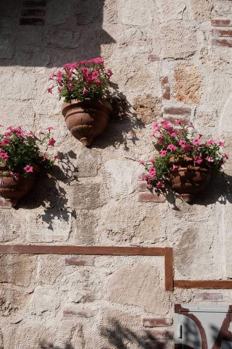 Ignoring Heat Reflected Off Patios And Walls