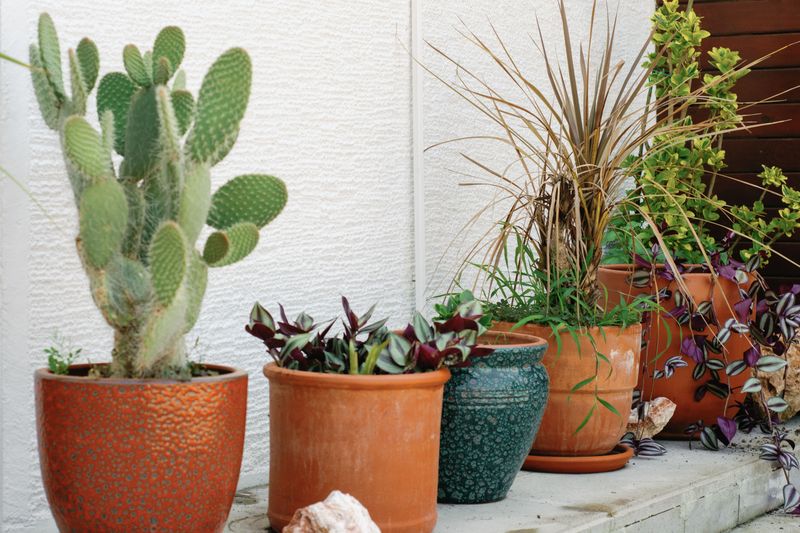 Ignoring Hot Containers On Patios