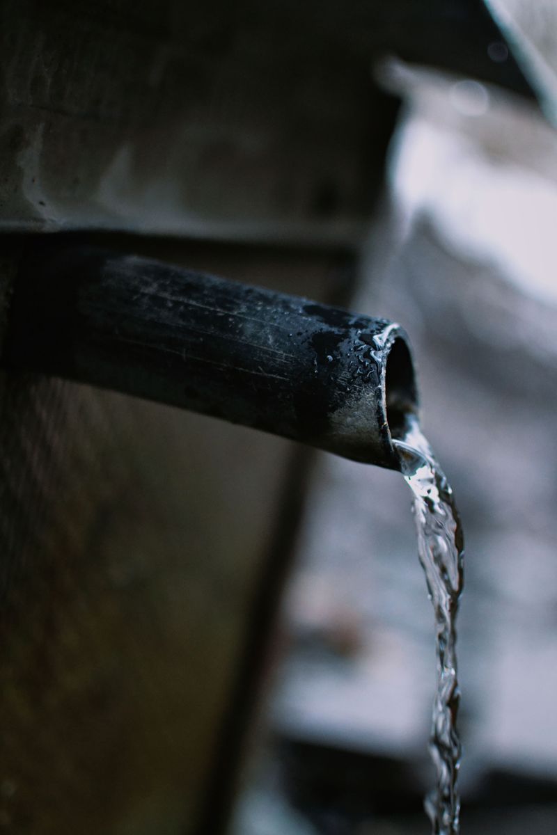 Ignoring Local Utility Guidelines Beyond The Basic Watering Schedule