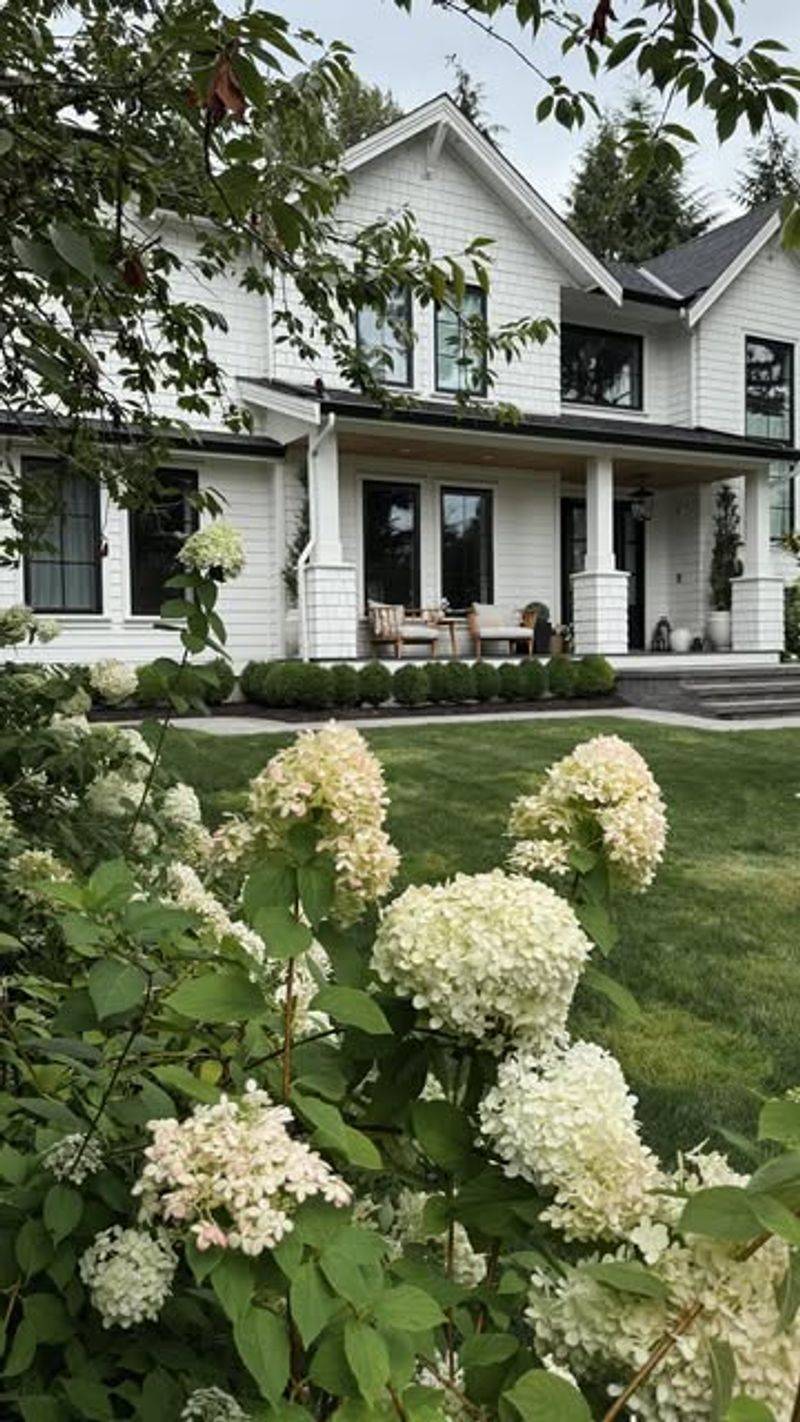 Ignoring Mature Shrub Size Ignoring Mature Shrub Size