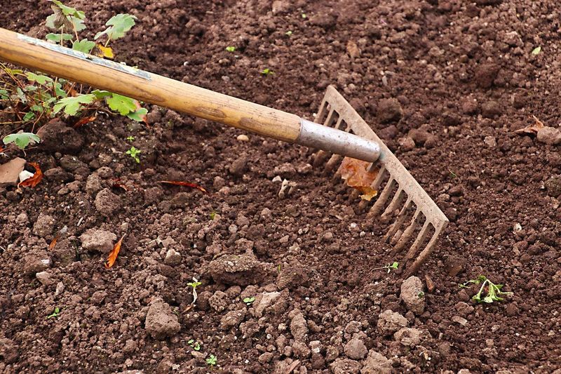 Ignoring Proper Soil Preparation Ignoring Proper Soil Preparation
