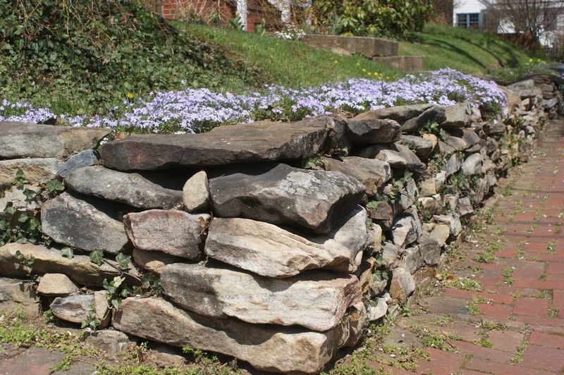 Ignoring Rock Piles And Stone Walls