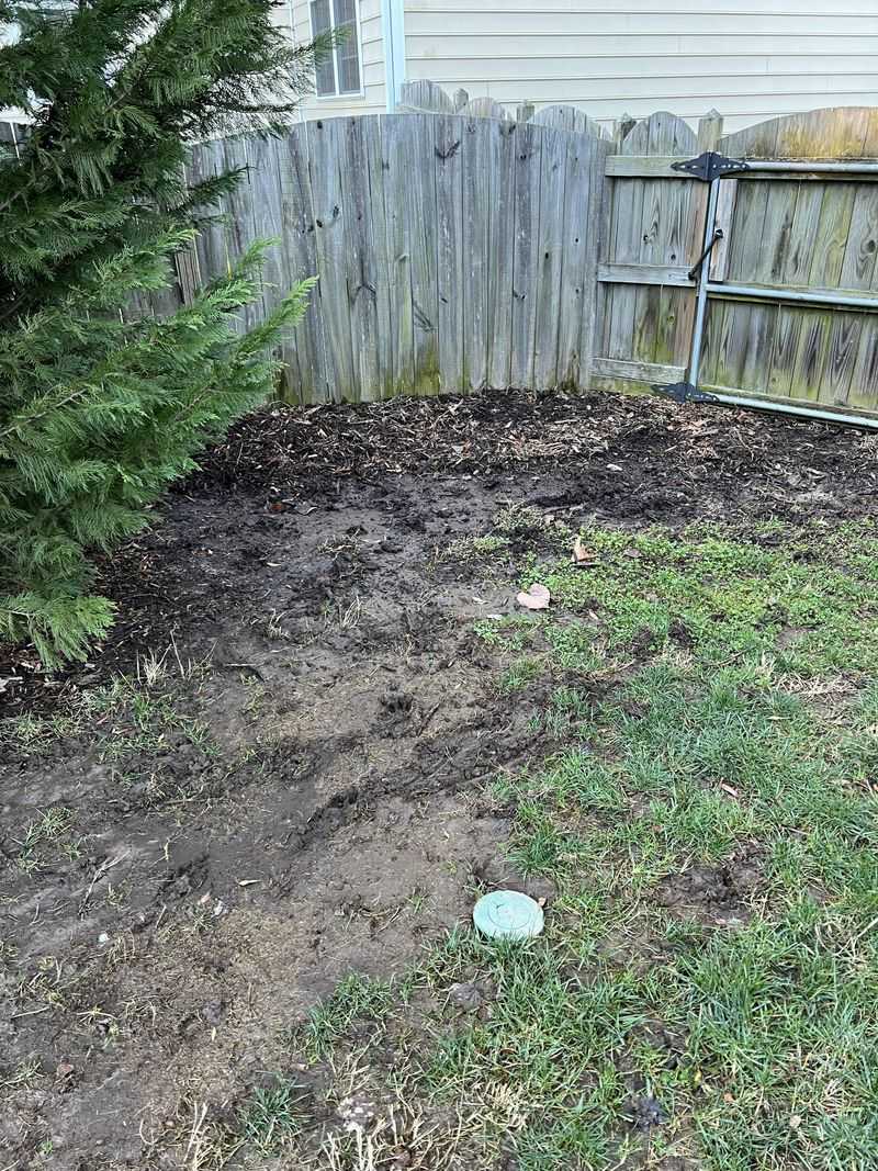 Ignoring Shady, Damp Spots In Your Yard Ignoring Shady, Damp Spots In Your Yard