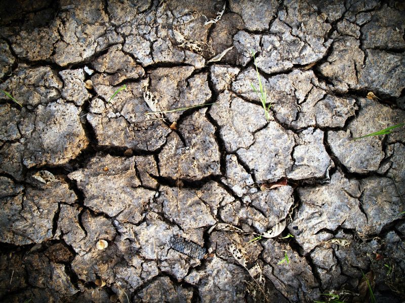 Ignoring Soil Drainage, Especially In Clay Soils Ignoring Soil Drainage, Especially In Clay Soils