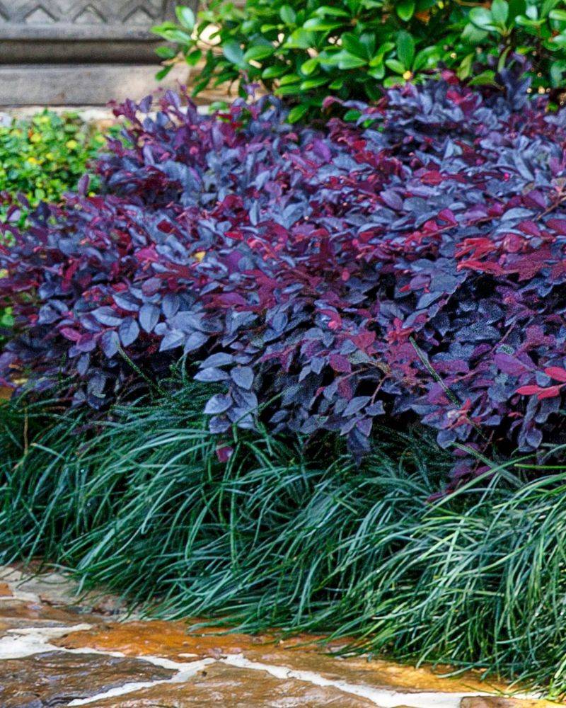 Ignoring Soil Preparation Ignoring Soil Preparation