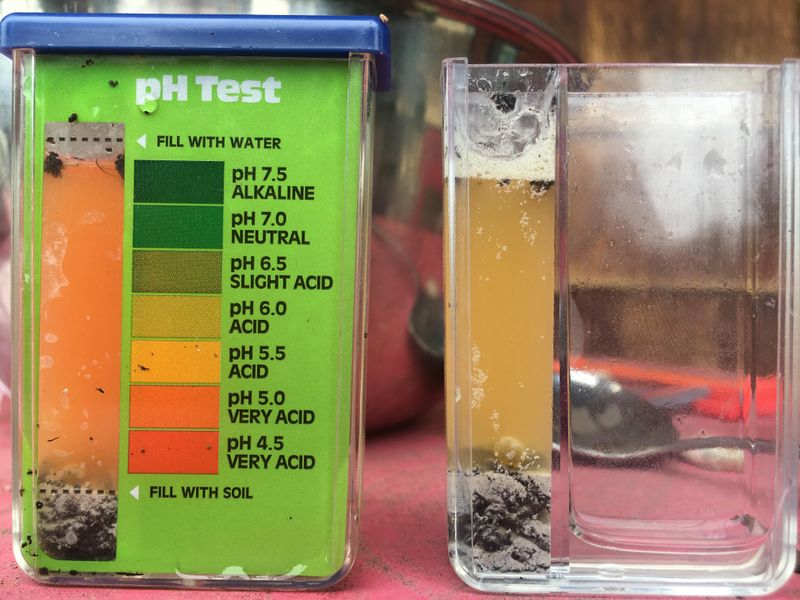 Ignoring Soil Test Results Ignoring Soil Test Results