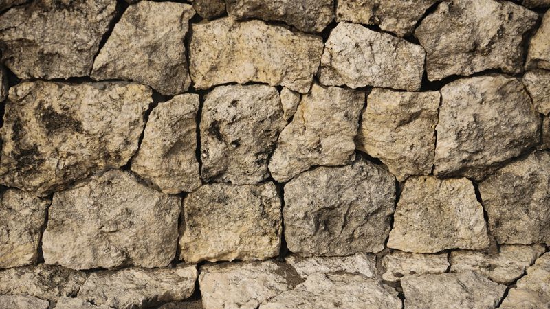 Ignoring Stone Walls As Tick Hotspots Ignoring Stone Walls As Tick Hotspots