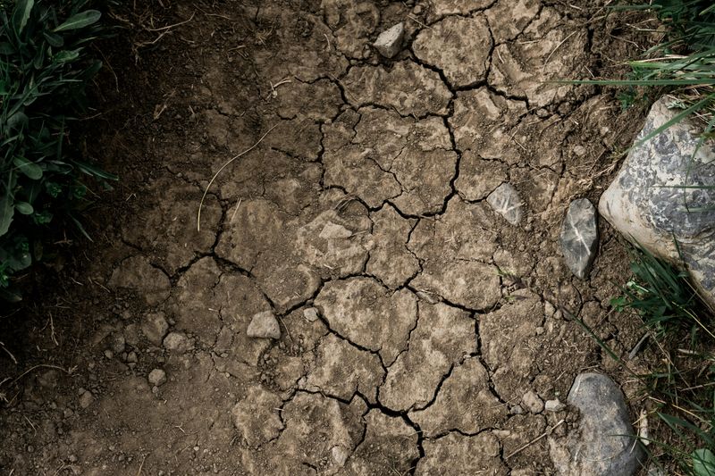 Ignoring The Difference Between Clay And Sandy Soil