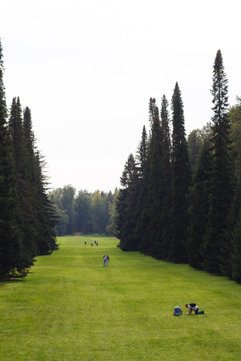 Ignoring The Edge Where Your Lawn Meets The Woods