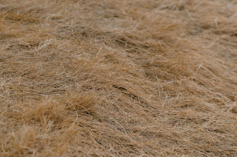 Ignoring Thick Thatch