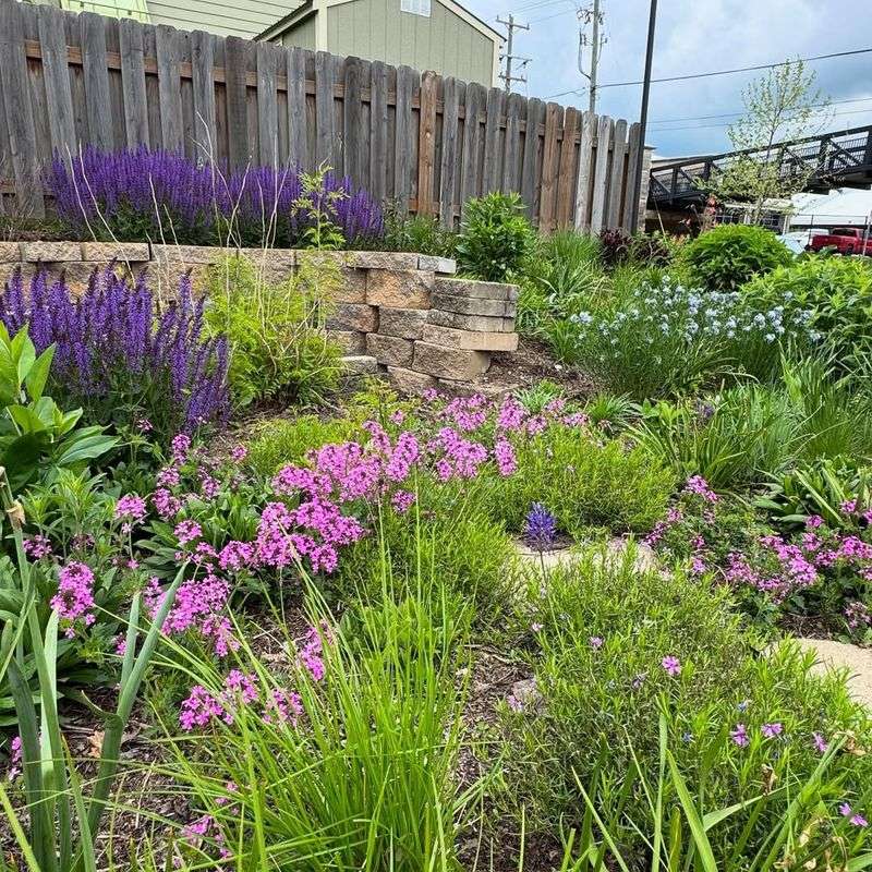Ignoring Whether Plants Bloom On Old Or New Wood