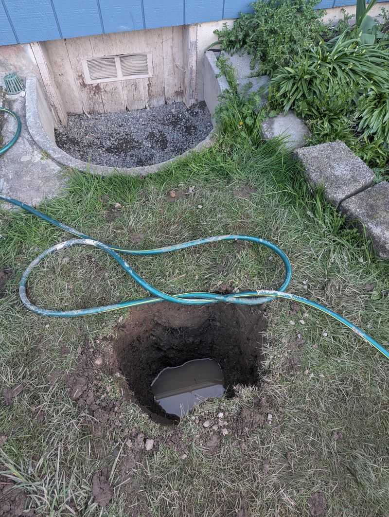Improve Drainage Before Replanting Improve Drainage Before Replanting