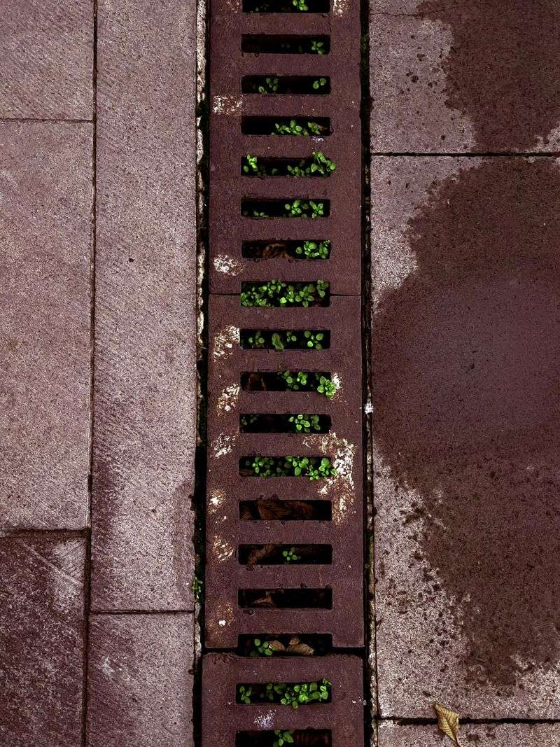 Improve Drainage In Problem Areas