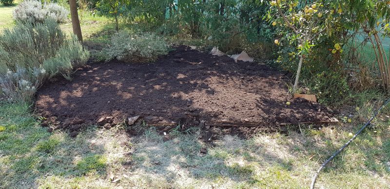 Improve New Garden Beds As Part Of Sheet Mulching