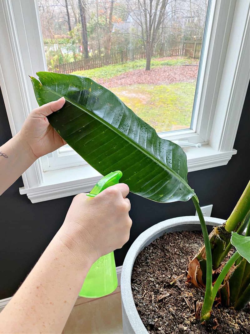 Inconsistent Watering