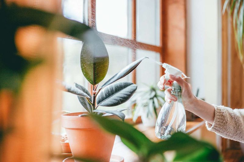 Insecticidal Soap May Be Useful Insecticidal Soap May Be Useful