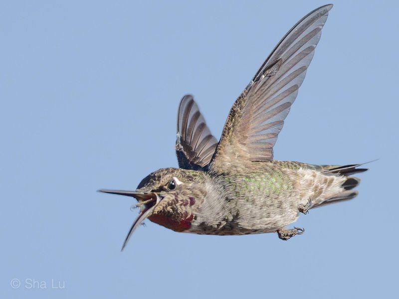 Insects Give Them Protein Sugar Water Cannot Insects Give Them Protein Sugar Water Cannot