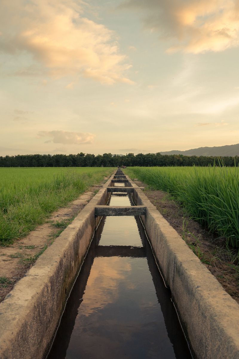 Inspect And Repair Any Drainage Ditches Along The Property Line Inspect And Repair Any Drainage Ditches Along The Property Line