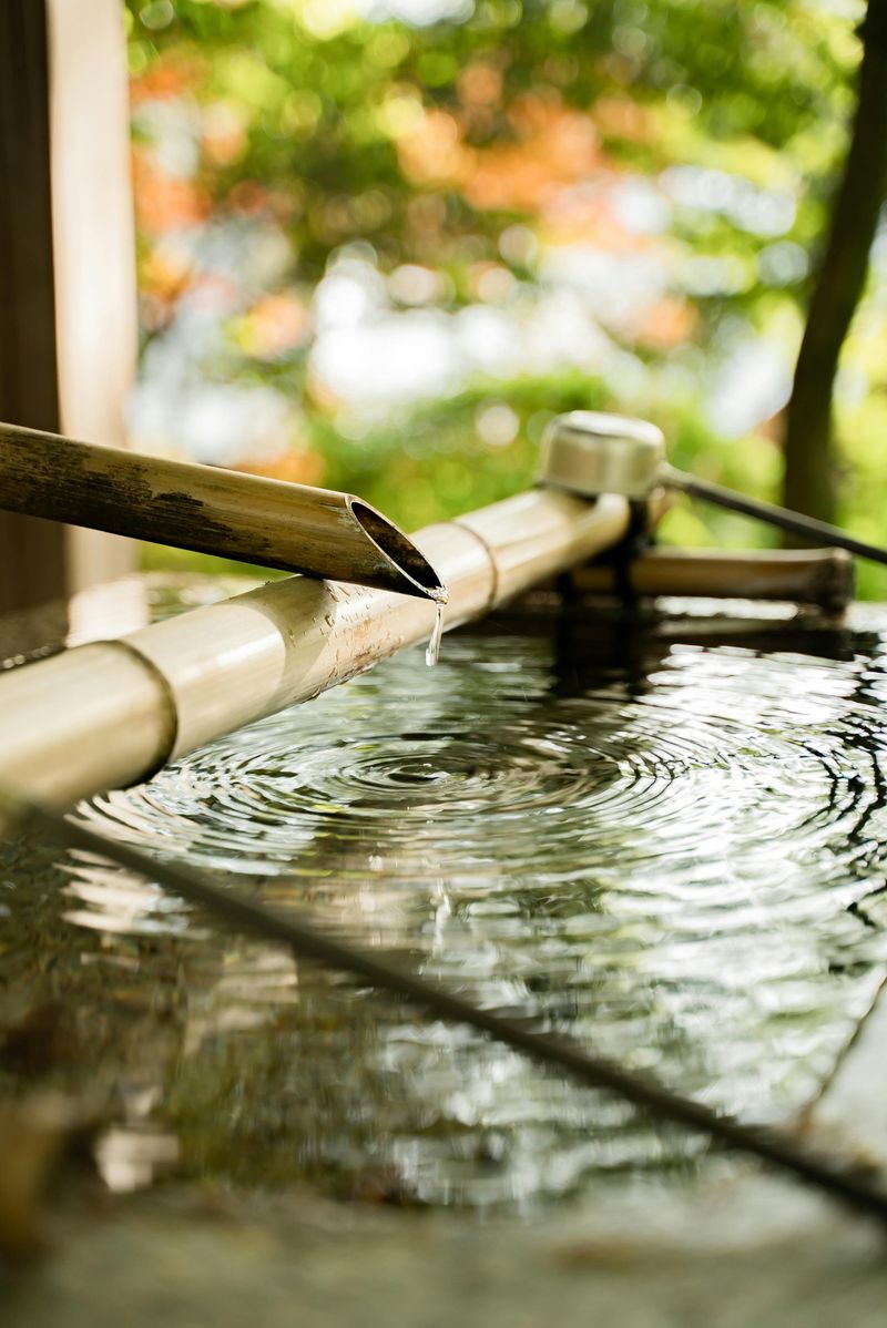 Install A Shallow Water Feature To Keep Them Around