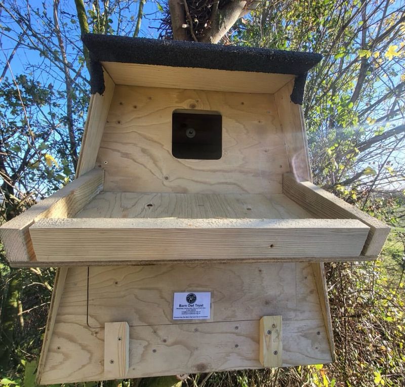Install Barn Owl Boxes In Quiet Areas