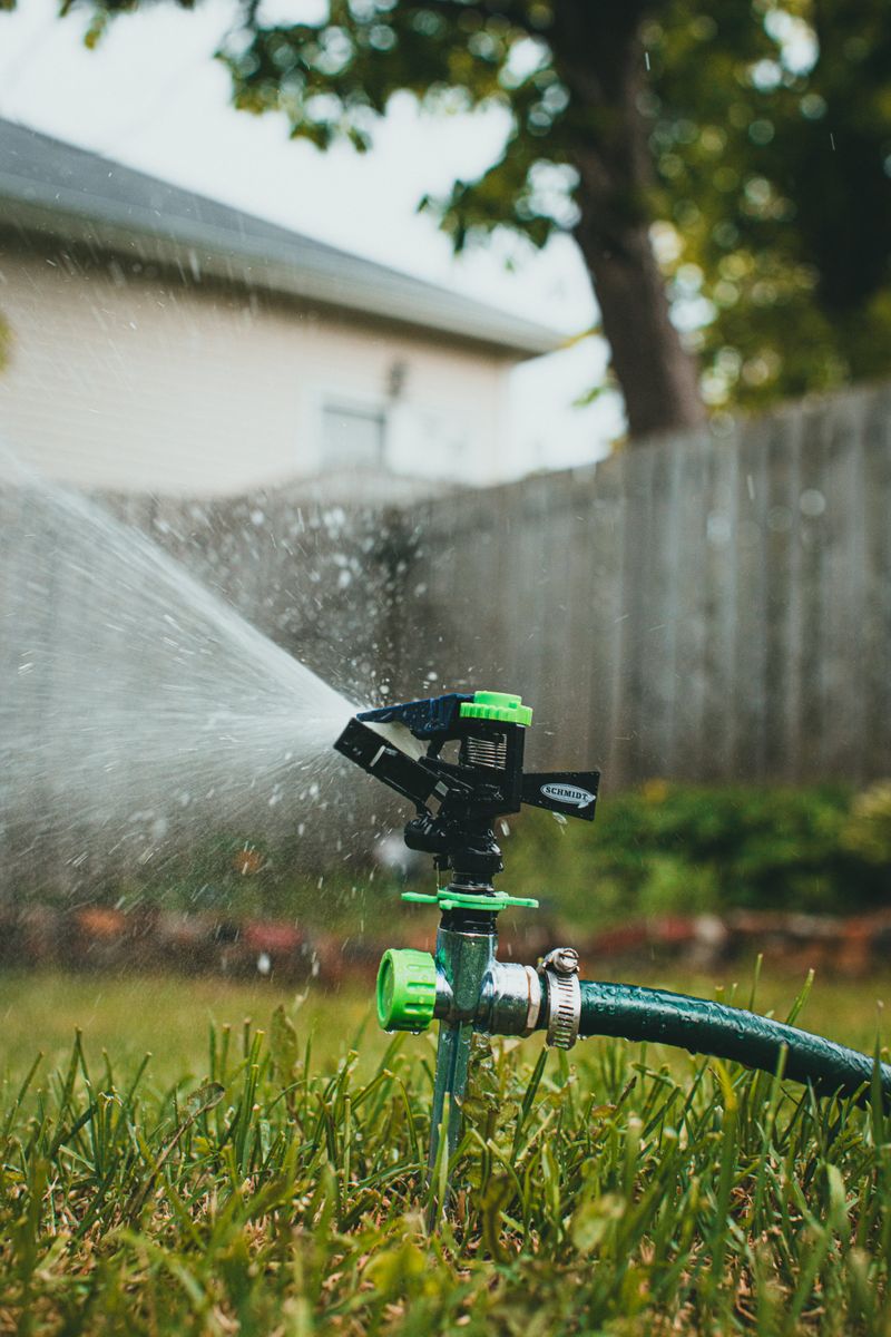 Install Motion-Activated Lights Or Sprinklers