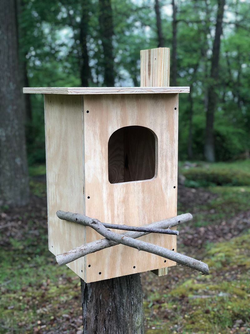 Install Nesting Boxes