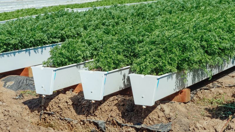 Installing Self-Watering Containers With Built-In Reservoirs Installing Self-Watering Containers With Built-In Reservoirs