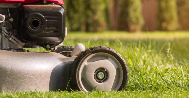 Iowa Homeowners Should Know These Summer Lawn Dormancy Care Tips