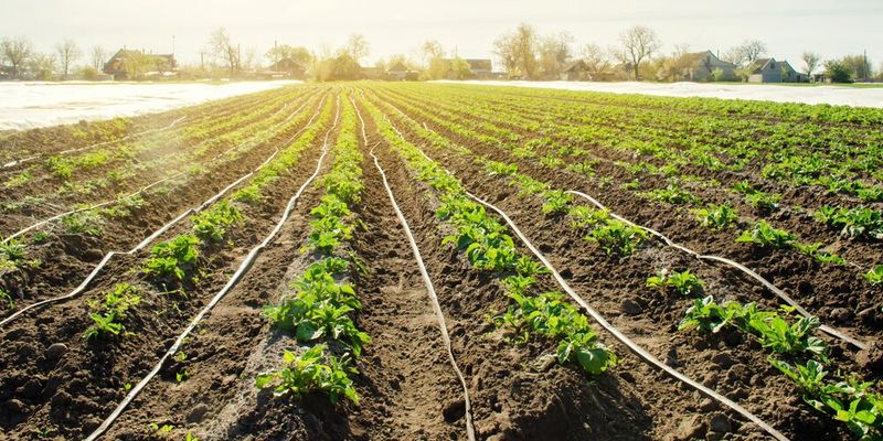 Irrigation Planning