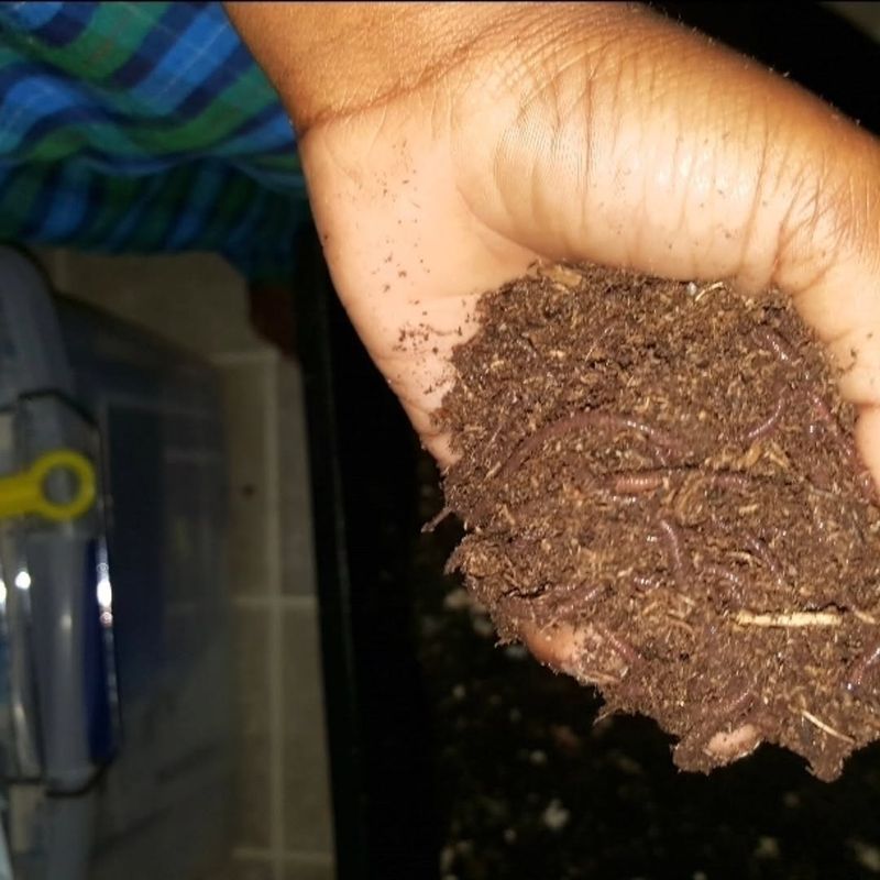 It Helps Gardeners Compost More Consistently It Helps Gardeners Compost More Consistently