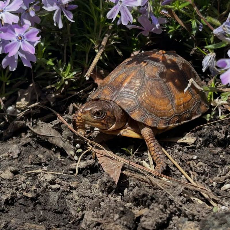 It Reminds Gardeners To Avoid Careless Chemicals
